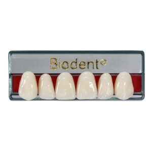 Dientes anteriores superiores de resina acrílica Biodent color A2, plaqueta de 6 piezas