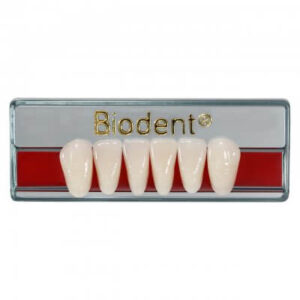 Dientes anteriores inferiores de resina acrílica Biodent color A2, plaqueta de 6 piezas