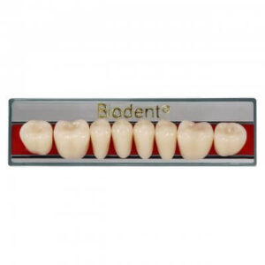 Dientes posteriores inferiores de resina acrílica Biodent color A2, plaqueta de 8 piezas