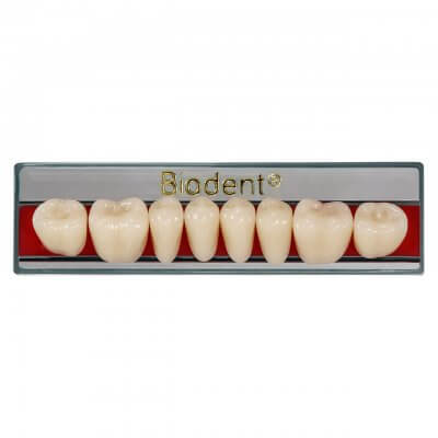 Dientes posteriores inferiores de resina acrílica Biodent color A2, plaqueta de 8 piezas